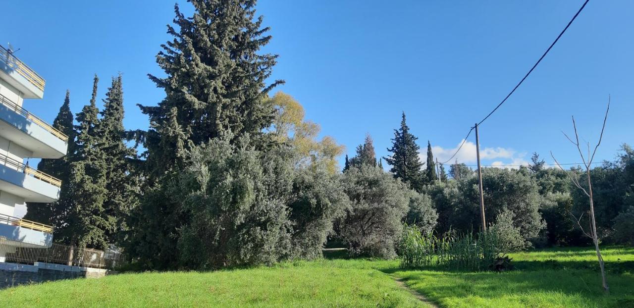 Όμορφο Studio Στην Πόλη Πάτρα Екстериор снимка